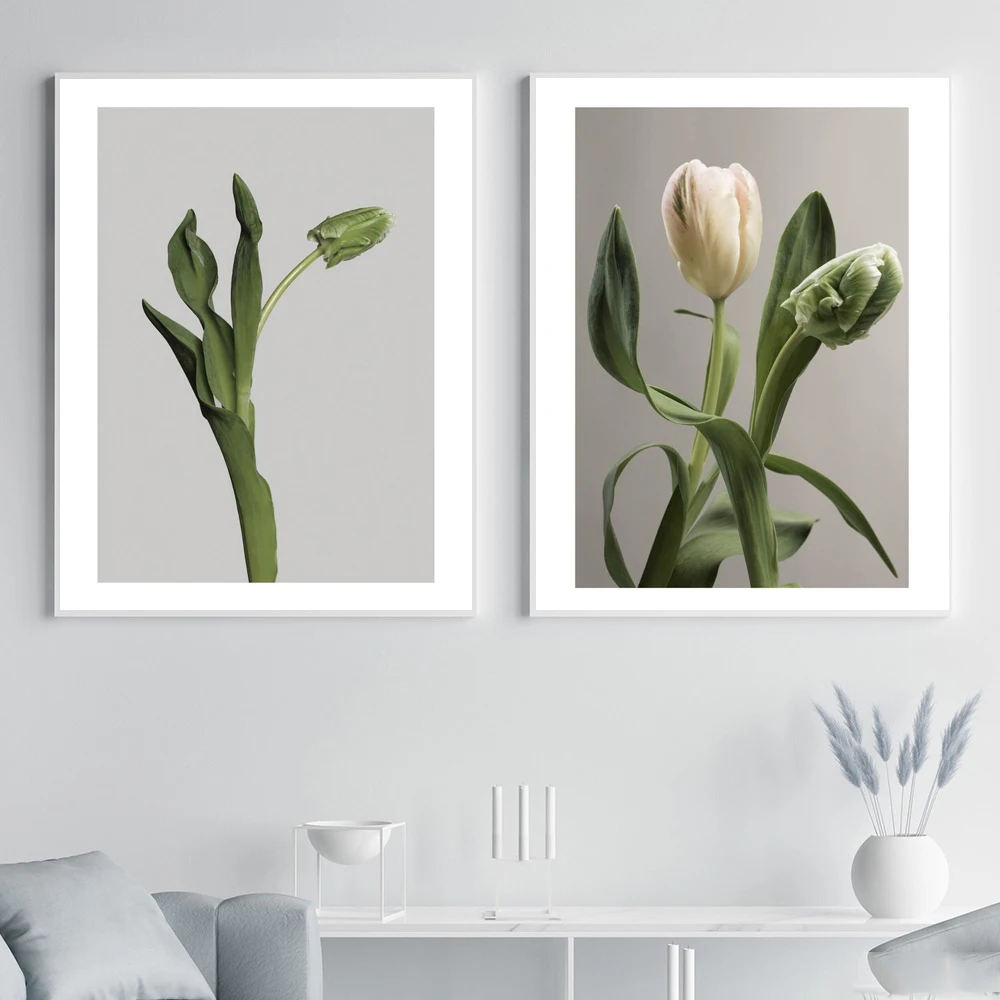 White Tulip Flowers Poster Nordic Plant Art Print Green Botanical Canvas Painting Modern Wall Picture For Living Room Home Decor
White Tulip Flowers Poster Nordic Plant Art Print Green Botanical Canvas Painting Modern Wall Picture For Living Room Home Decor