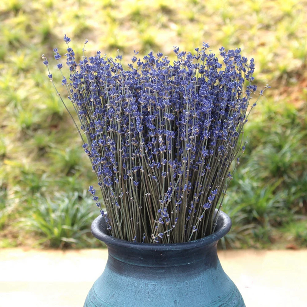 1 Bunch 50 stems Natural Dried Flower Lavender Floral Plant Bouquets Home Party Wedding Flores Decoration
1 Bunch 50 stems Natural Dried Flower Lavender Floral Plant Bouquets Home Party Wedding Flores Decoration
