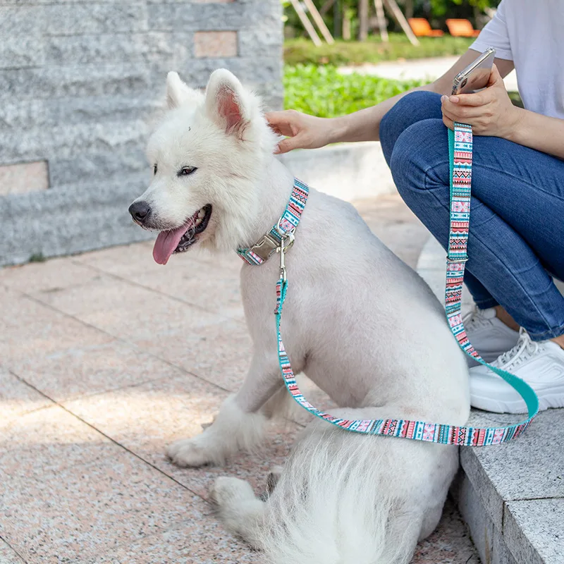 Aapet 1set Dog Collar Leash Set For Dog Cat Traction Rope Puppy Pulling Cable Safety Training Leash Dog Leash Pet Pulling Rope
Aapet 1set Dog Collar Leash Set For Dog Cat Traction Rope Puppy Pulling Cable Safety Training Leash Dog Leash Pet Pulling Rope