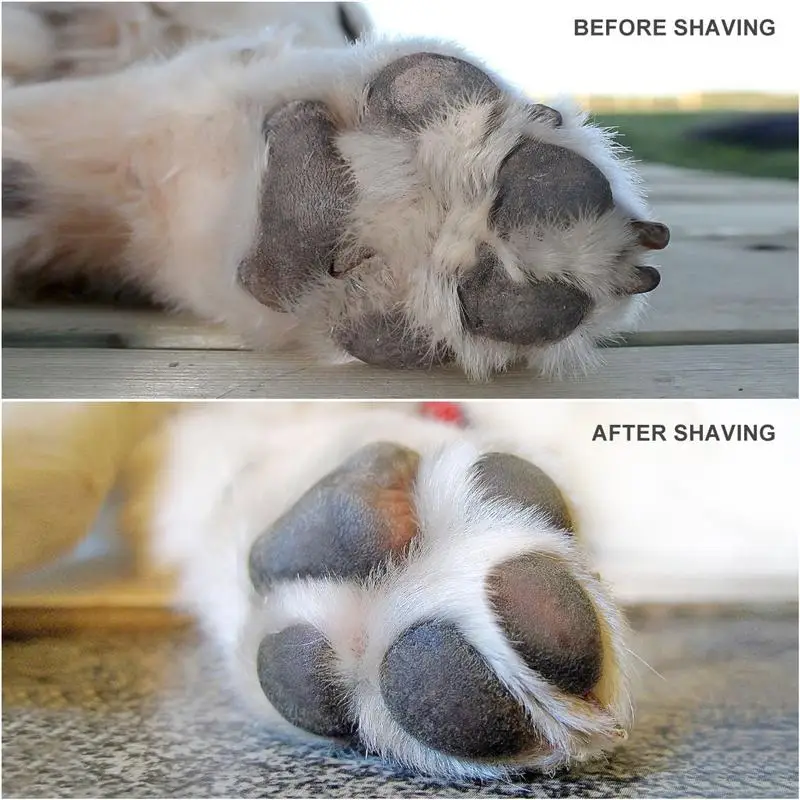 Pet Paw Hair Clipper Rechargeable Pet Hair Grooming Kit Adjustable Multi-Functional Dog Feet Hair Shaver (White)
Pet Paw Hair Clipper Rechargeable Pet Hair Grooming Kit Adjustable Multi-Functional Dog Feet Hair Shaver (White)