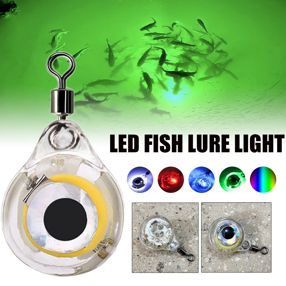 1/3pcs Mini Fishing Lure Light LED Deep Drop Light Bait Underwater Eye Shape Fishing Bait Luminous Lure Fishing Accessories
1/3pcs Mini Fishing Lure Light LED Deep Drop Light Bait Underwater Eye Shape Fishing Bait Luminous Lure Fishing Accessories