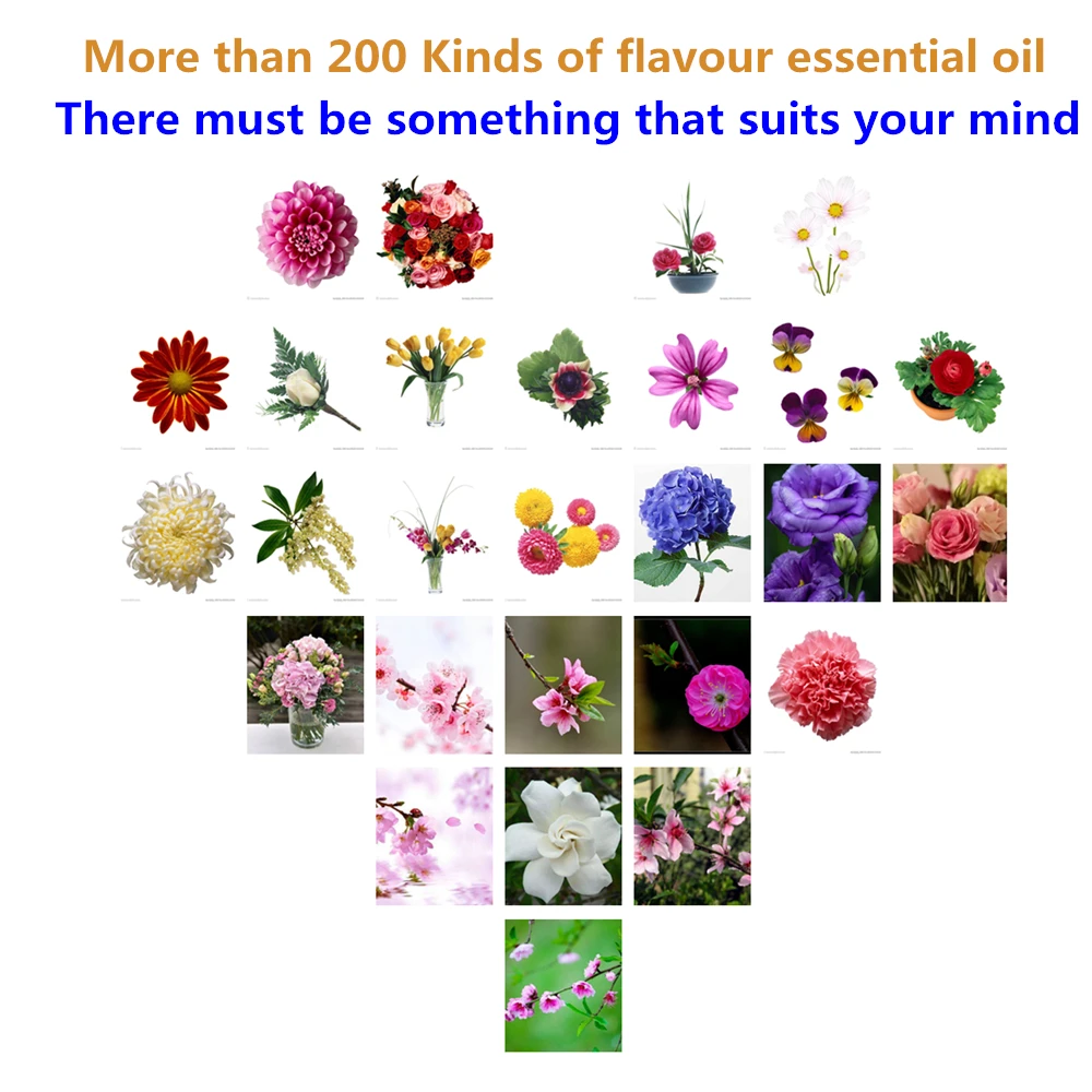 

10ml Pure Natural Essential Oils for Aromatherapy Diffusers Essential Oils Air Freshening Organic Camellia Petelotii Oil TSLM1