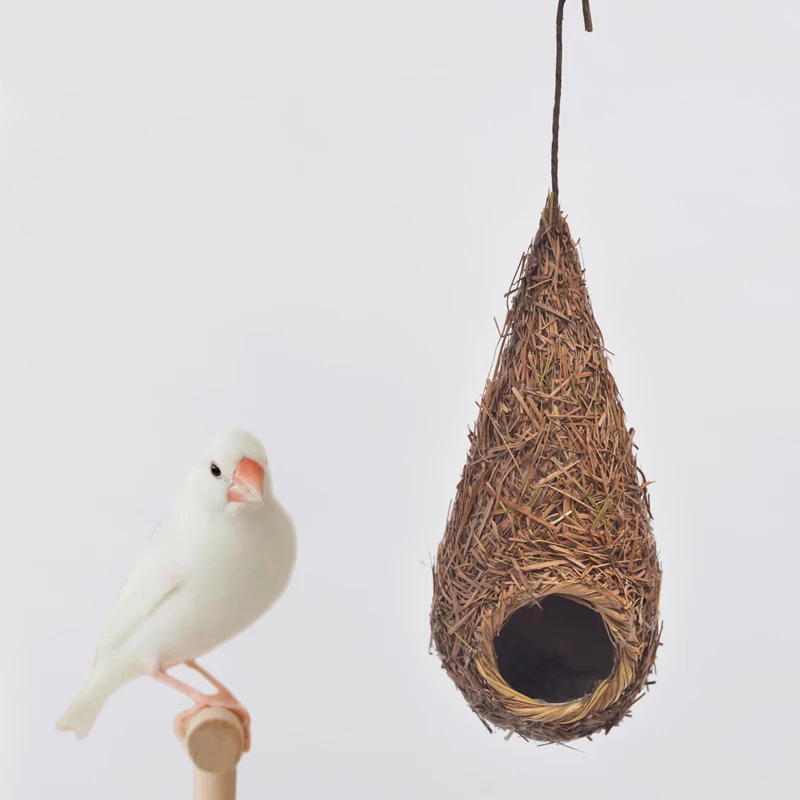 Houses Outdoor Bird Cage Parrot Breeding Carrier Wooden Bird Cage Accessories Large Gabbia Per Uccelli Bird Supplies DL60NL
Houses Outdoor Bird Cage Parrot Breeding Carrier Wooden Bird Cage Accessories Large Gabbia Per Uccelli Bird Supplies DL60NL