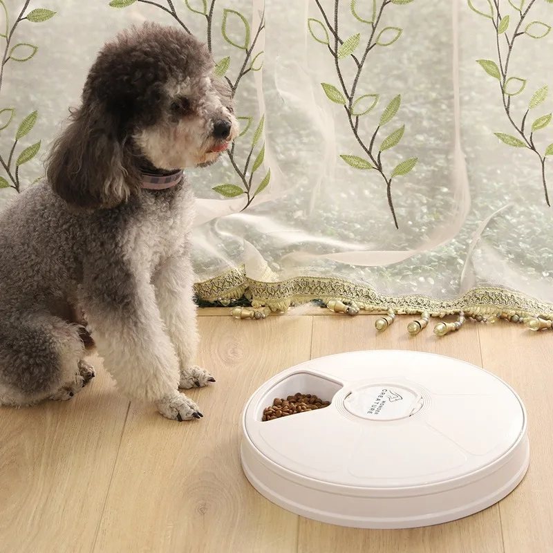 Pet Bowl Six-Hole Intelligent Timing Feeder Quantitative Tableware Pet Automatic Pet Feeder Dog Food Container Cereal Dispenser 
Pet Bowl Six-Hole Intelligent Timing Feeder Quantitative Tableware Pet Automatic Pet Feeder Dog Food Container Cereal Dispenser