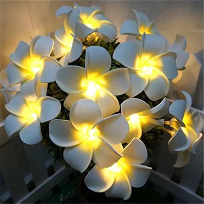 10/20 LED Garland Artificial Flower String Lights Rose/Flos Plumeriae Fairy Lights for Baby Shower Birthday Wedding Decoration
10/20 LED Garland Artificial Flower String Lights Rose/Flos Plumeriae Fairy Lights for Baby Shower Birthday Wedding Decoration