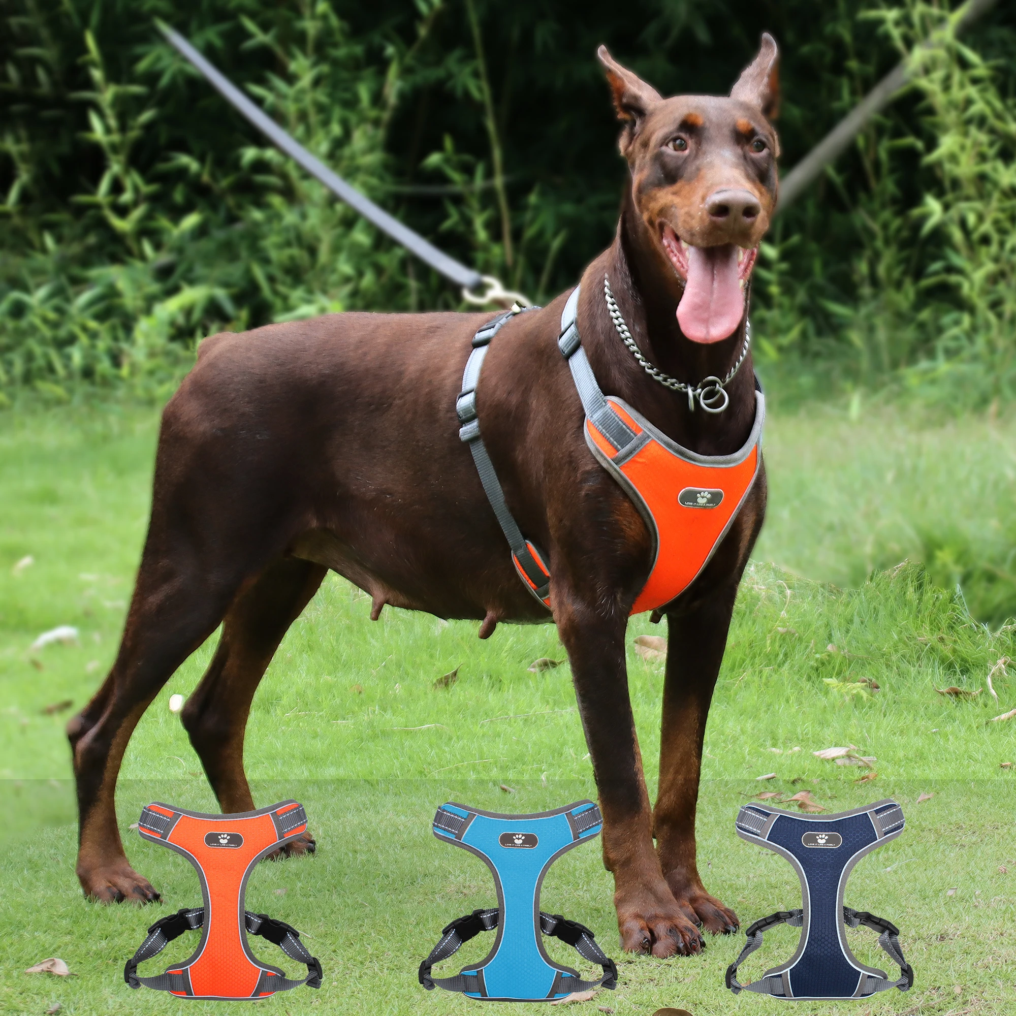 Dog Protective Harness Reflective Adjustable Breathable Pet Vest For Medium Large Dog Breast-band Husky Alaskan French Bulldog
Dog Protective Harness Reflective Adjustable Breathable Pet Vest For Medium Large Dog Breast-band Husky Alaskan French Bulldog