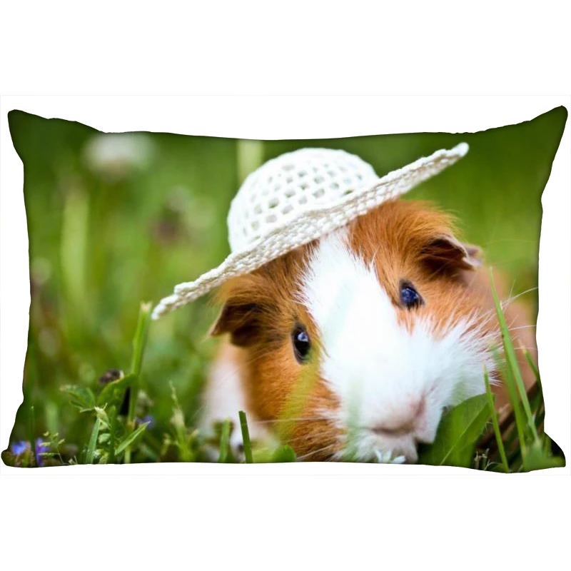 Guinea Pig Pillow Cover Bedroom Home Office Decorative Pillowcase Rectangle Zipper Pillow cases Satin Soft No Fade 01-11
Guinea Pig Pillow Cover Bedroom Home Office Decorative Pillowcase Rectangle Zipper Pillow cases Satin Soft No Fade 01-11