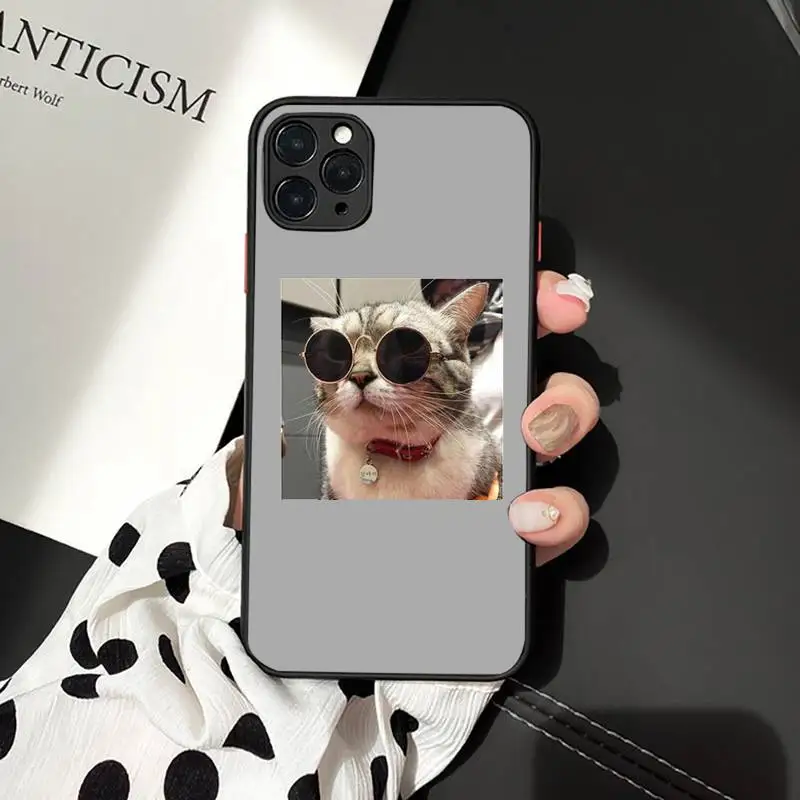 Phone Case For iPhone 12 11 Mini Pro XR XS Max 7 8 Plus X Cute cat puppy pet Matte transparent cover
Phone Case For iPhone 12 11 Mini Pro XR XS Max 7 8 Plus X Cute cat puppy pet Matte transparent cover