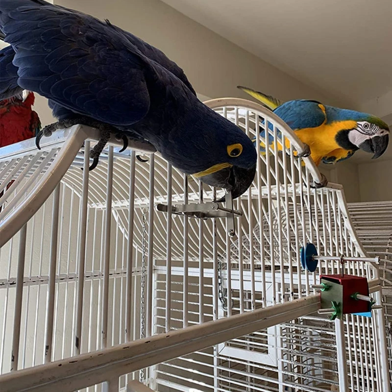 Bird Toy with Traveling Spinner Stainless Steel Spins on Axis Brain Teaser and Mind Game for Medium to Extra Large Birds
Bird Toy with Traveling Spinner Stainless Steel Spins on Axis Brain Teaser and Mind Game for Medium to Extra Large Birds