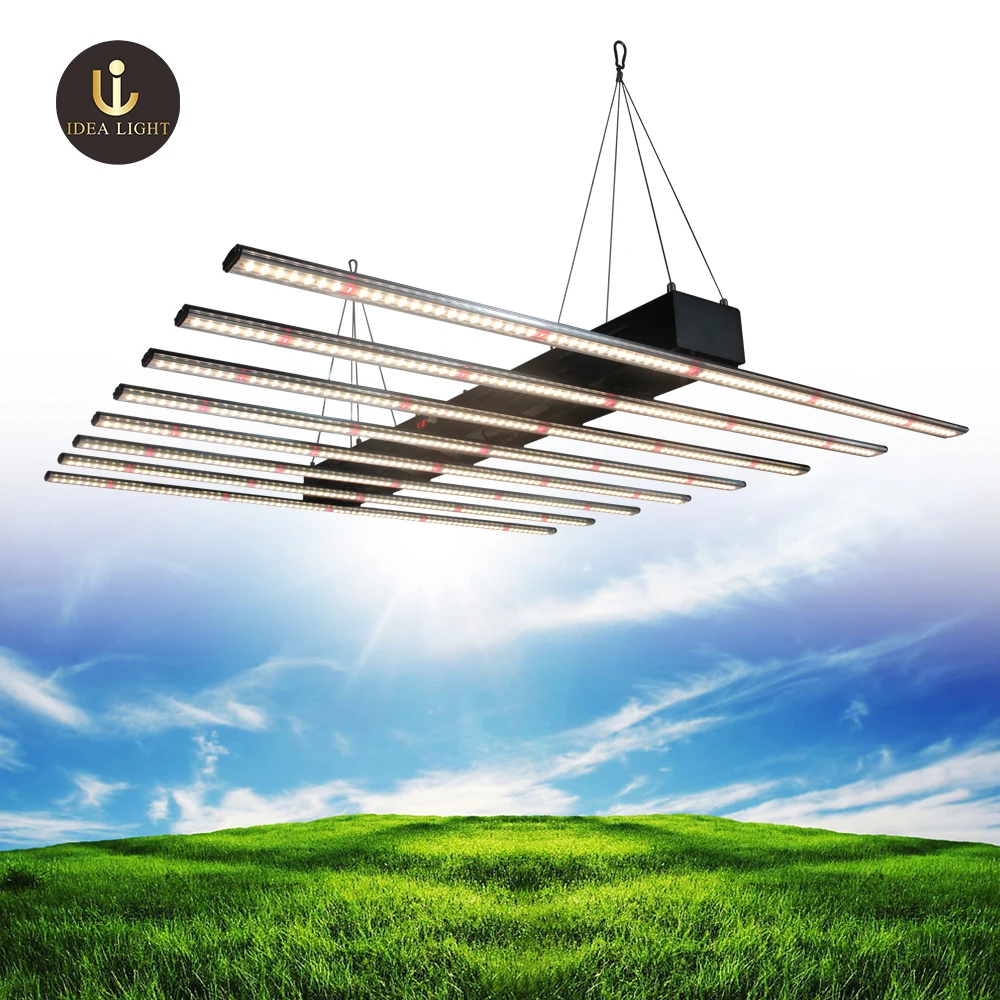 LUX China factory led plant lighting cover 8*8ft footprint 2000w full spectrum led grow light for medical plants
LUX China factory led plant lighting cover 8*8ft footprint 2000w full spectrum led grow light for medical plants