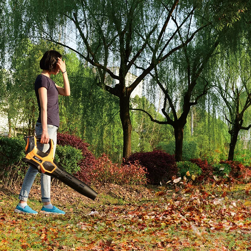 Industrial hair dryer high power electric wireless leaf blower lithium road blower dust removal
Industrial hair dryer high power electric wireless leaf blower lithium road blower dust removal