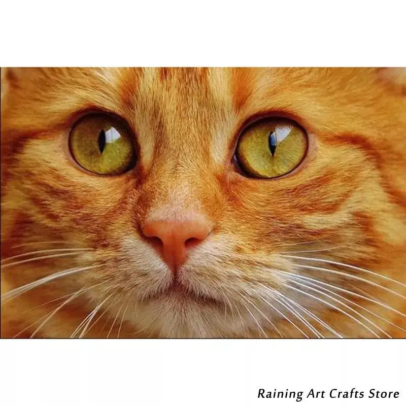 5D Diy Diamond Painting Cat Embroidery Full Round Square Drill Rhinestone Cross Stitch Kits Needlework Mosaic Picture Home Decor 
5D Diy Diamond Painting Cat Embroidery Full Round Square Drill Rhinestone Cross Stitch Kits Needlework Mosaic Picture Home Decor