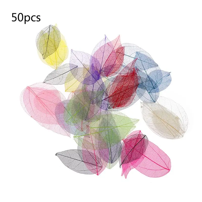 50 Pcs Mixed Color Natural Skeleton Leaves Pressed Flower for Jewelry Making HX6F 
50 Pcs Mixed Color Natural Skeleton Leaves Pressed Flower for Jewelry Making HX6F