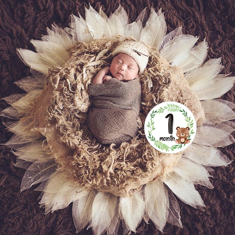 12 Pcs/Set Newborn Milestone Memorial Month Stickers Floral Baby Monthly Stickers Photography Commemorative Card
12 Pcs/Set Newborn Milestone Memorial Month Stickers Floral Baby Monthly Stickers Photography Commemorative Card