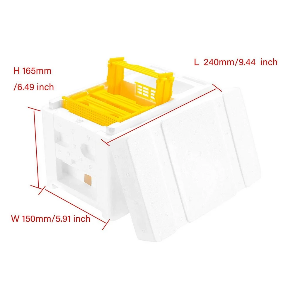 Bee Hive Beekeeping King Box Pollination Box Foam Frames Double Layer Harvest Bee Hive Box Home Hive Case Garden Beekeeping Tool 
Bee Hive Beekeeping King Box Pollination Box Foam Frames Double Layer Harvest Bee Hive Box Home Hive Case Garden Beekeeping Tool