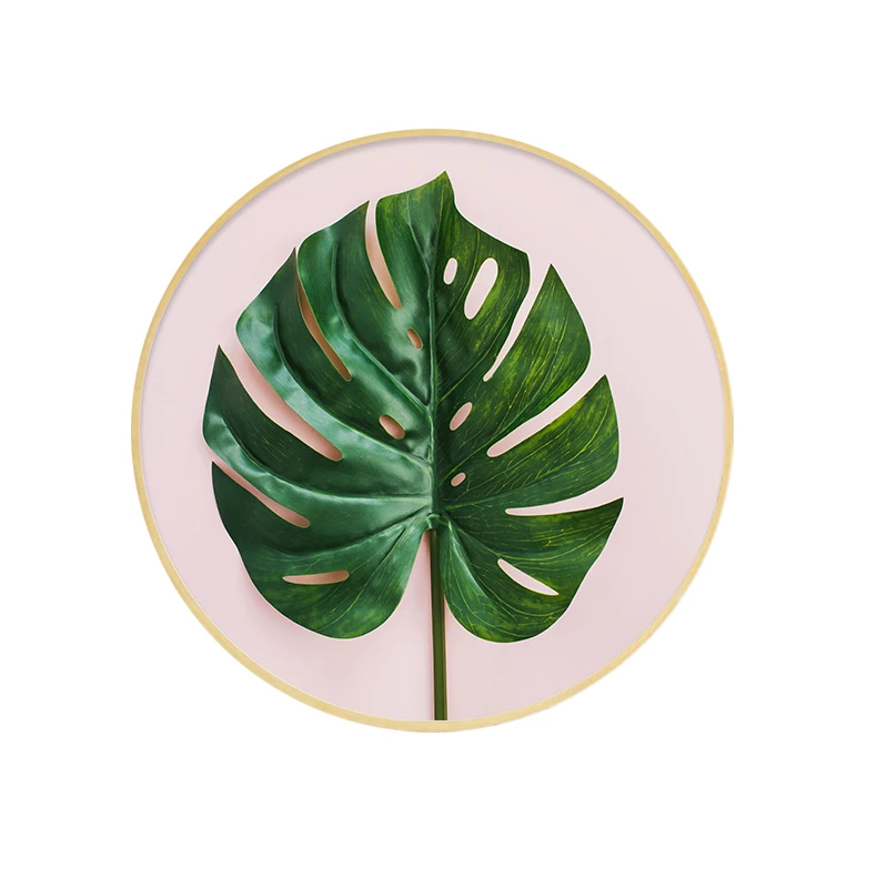 Framed Wall Art Plant Flower Nordic Modern Canvas Painting With Frame Hanging Decorations Living Room Pictures For Home Design
Framed Wall Art Plant Flower Nordic Modern Canvas Painting With Frame Hanging Decorations Living Room Pictures For Home Design