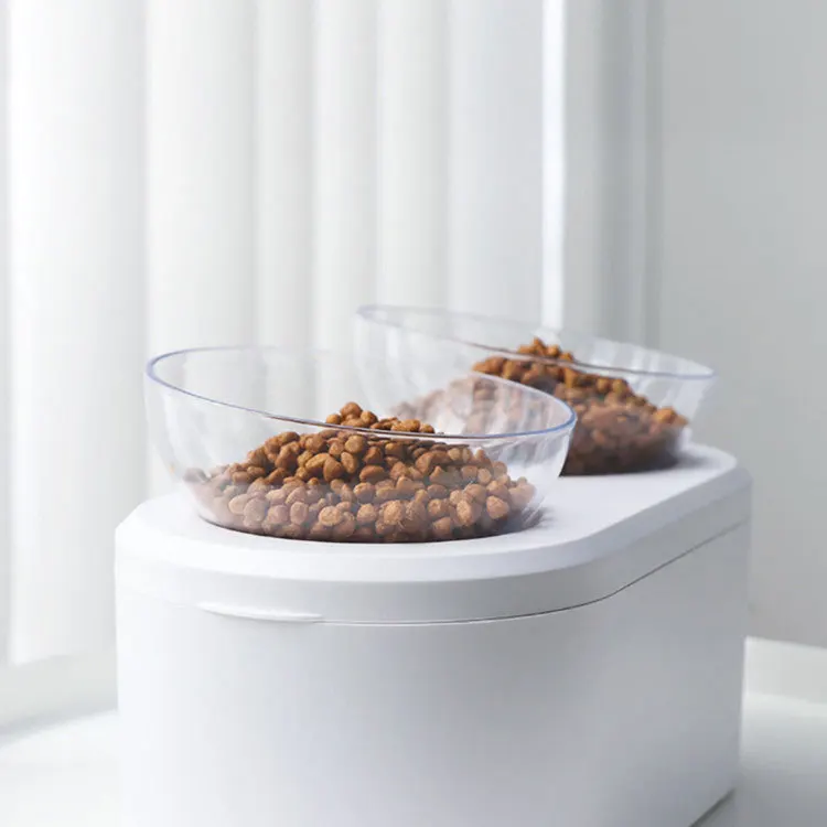 Non-Slip Cat Bowl Double Bowl with Raised Stand Pet Food Bowls for Protection Cervical Support Dropshipping Cat Bowl Dog Feeder
Non-Slip Cat Bowl Double Bowl with Raised Stand Pet Food Bowls for Protection Cervical Support Dropshipping Cat Bowl Dog Feeder