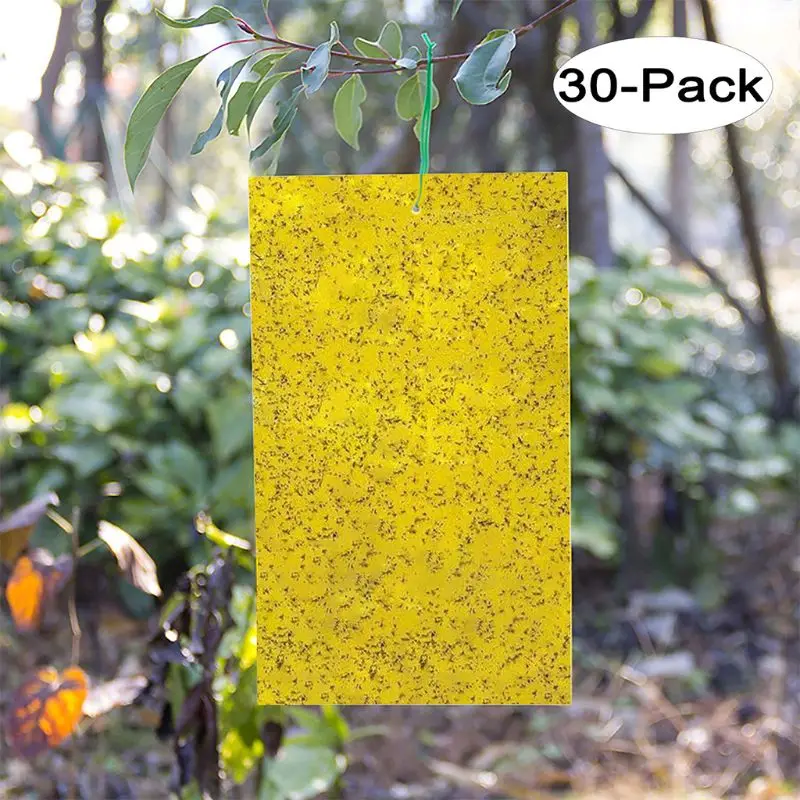 30 Pack Dual-Sided Yellow Sticky Traps for Flying Plant Insect (10x4 Inch, Included 30pcs Twist Ties) L5YE
30 Pack Dual-Sided Yellow Sticky Traps for Flying Plant Insect (10x4 Inch, Included 30pcs Twist Ties) L5YE