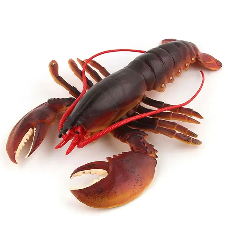 Large Size Simulation Lobster Model Toy Wild Life Animals Figures Home Decoration Children Kids Toy
Large Size Simulation Lobster Model Toy Wild Life Animals Figures Home Decoration Children Kids Toy