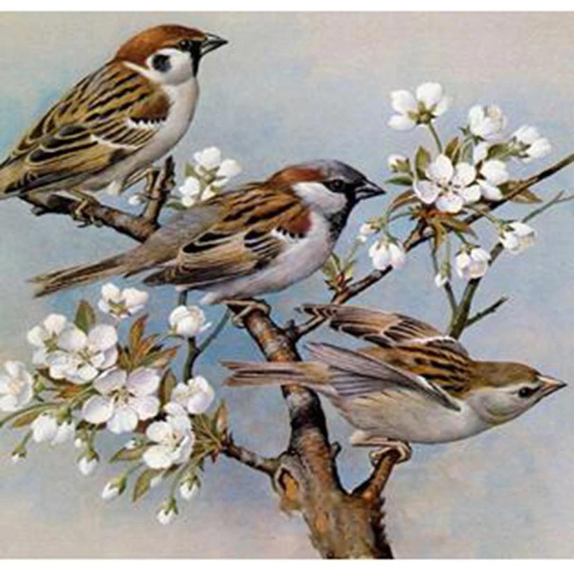 5D DIY Diamond Painting Animal Painting Branch Three Birds Beautiful Scenery Picture Square/Round Diamond Cross Stitch Art TX242
5D DIY Diamond Painting Animal Painting Branch Three Birds Beautiful Scenery Picture Square/Round Diamond Cross Stitch Art TX242