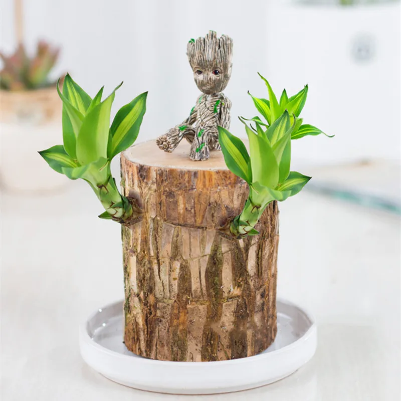 Brazil Lucky Wooden Table Top Ornaments Decorate Small Potted Plants To Purify The Air
Brazil Lucky Wooden Table Top Ornaments Decorate Small Potted Plants To Purify The Air