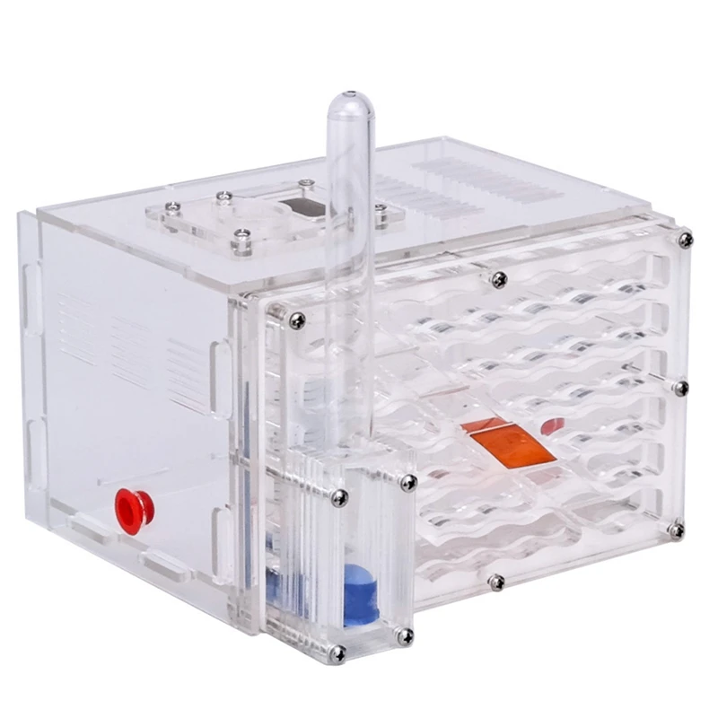 Practical DIY Moisture with Feeding Area Ant Nest,Ant Farm Acrylic,Insect Ant Nests Villa New Pet Advanced Mania for House Ants
Practical DIY Moisture with Feeding Area Ant Nest,Ant Farm Acrylic,Insect Ant Nests Villa New Pet Advanced Mania for House Ants