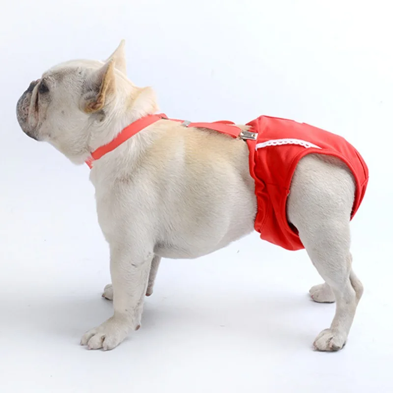 Pet Physiological Pants Dot Female Dog Sanitary Panties Shorts Underwear Sanitary Diaper Washable Shorts Pet Product
Pet Physiological Pants Dot Female Dog Sanitary Panties Shorts Underwear Sanitary Diaper Washable Shorts Pet Product