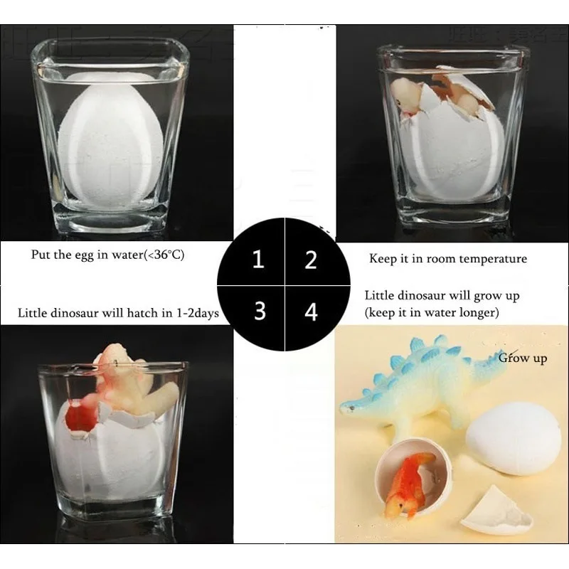 10pcs Cute Magic Hatching Dinosaur Eggs Novelty Gag Toys For Child Kids Educational Toys Gifts Add Water Growing Dinosaur
10pcs Cute Magic Hatching Dinosaur Eggs Novelty Gag Toys For Child Kids Educational Toys Gifts Add Water Growing Dinosaur