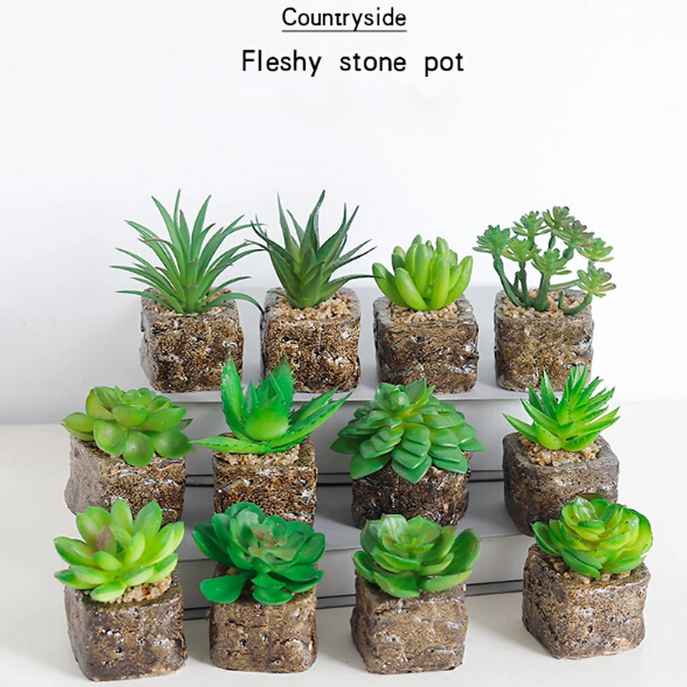 1pcs 12 Styles Mini Artificial Succulent Plants Decorative Cactus Cacti Plants Faux Potted Plants (Random)m)
1pcs 12 Styles Mini Artificial Succulent Plants Decorative Cactus Cacti Plants Faux Potted Plants (Random)m)