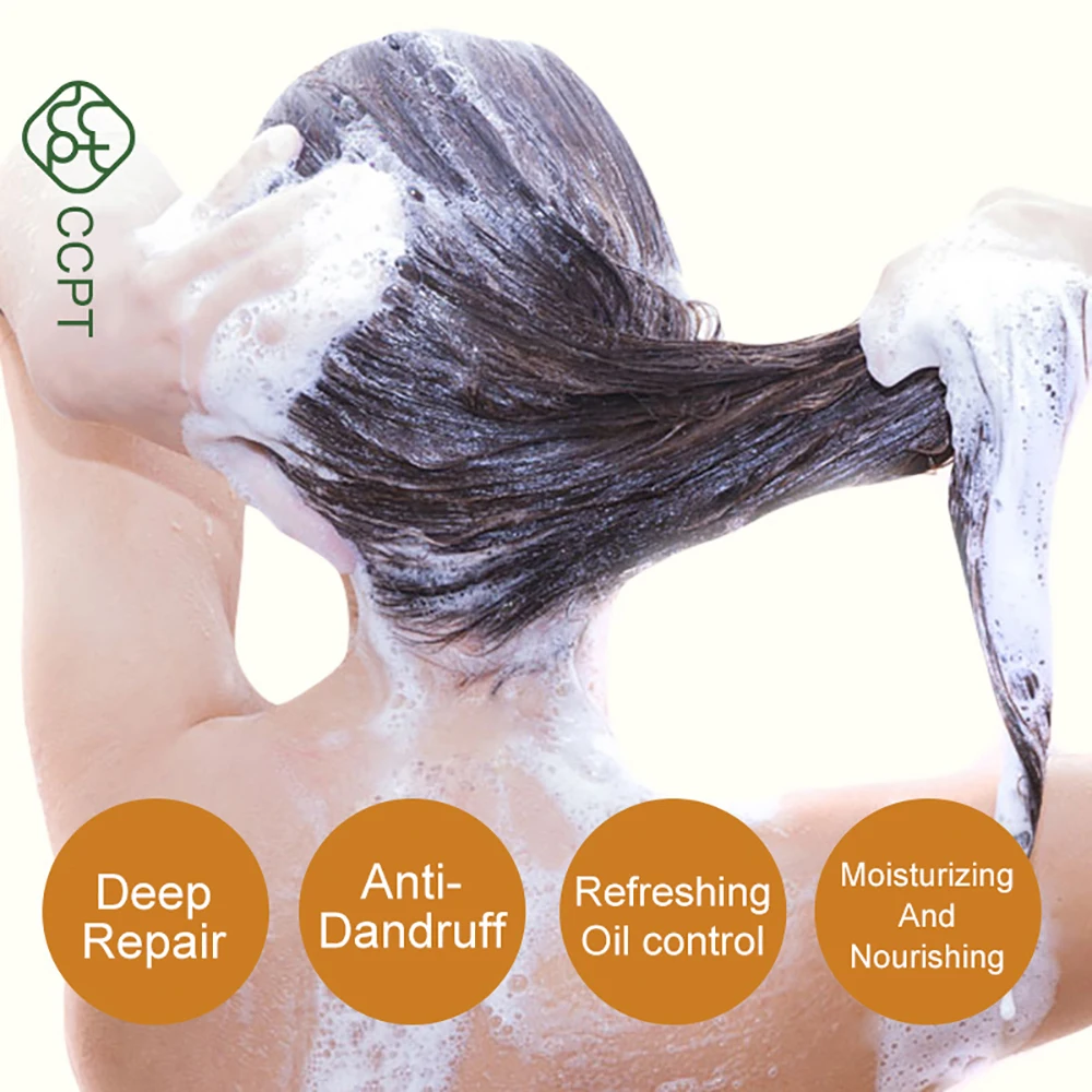 CCPT Plant Extracts Nursing Shampoo Oil Control Essential Oil Hair Care Dandruff Improve Hair Quality 360ml
CCPT Plant Extracts Nursing Shampoo Oil Control Essential Oil Hair Care Dandruff Improve Hair Quality 360ml