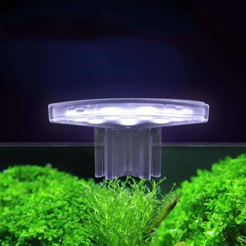 5W LED Aquarium Light Double-row LED Fish Tank Lamp Clip-on Lamp Fish Tank Decoration Aquarium Accessories
5W LED Aquarium Light Double-row LED Fish Tank Lamp Clip-on Lamp Fish Tank Decoration Aquarium Accessories