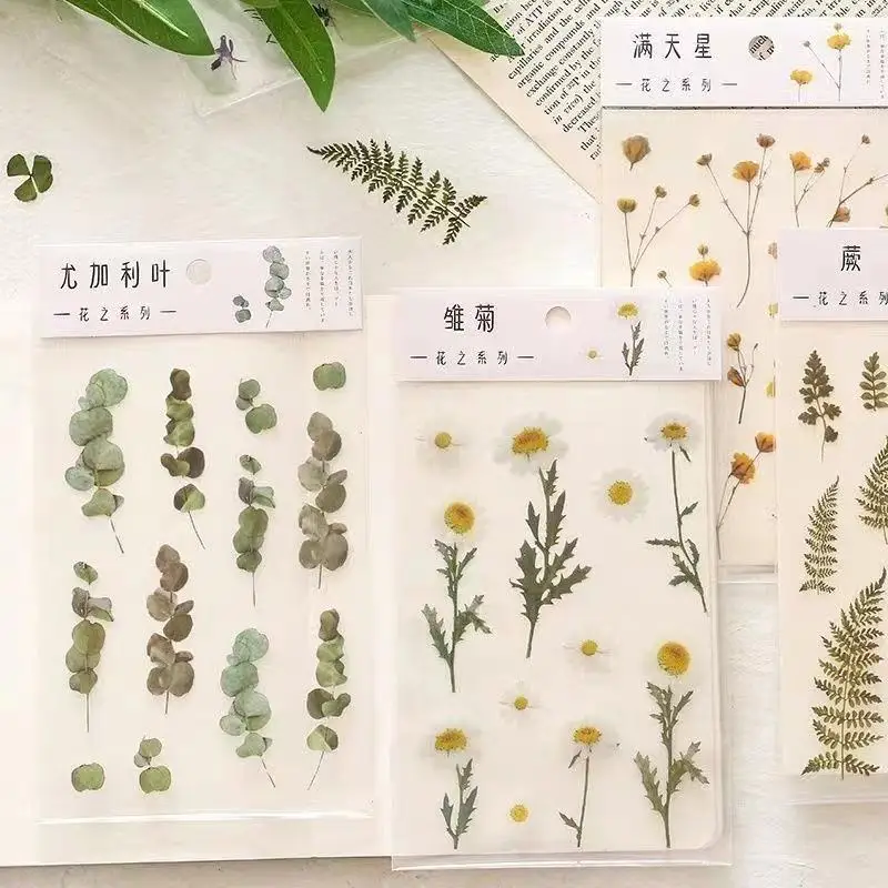 Прозрачные цветочные наклейки в упаковке для бутылок для воды, DIY наклейки, эстетичные декоративные конверты для журналов для скрапбукинга
Прозрачные цветочные наклейки в упаковке для бутылок для воды, DIY наклейки, эстетичные декоративные конверты для журналов для скрапбукинга
