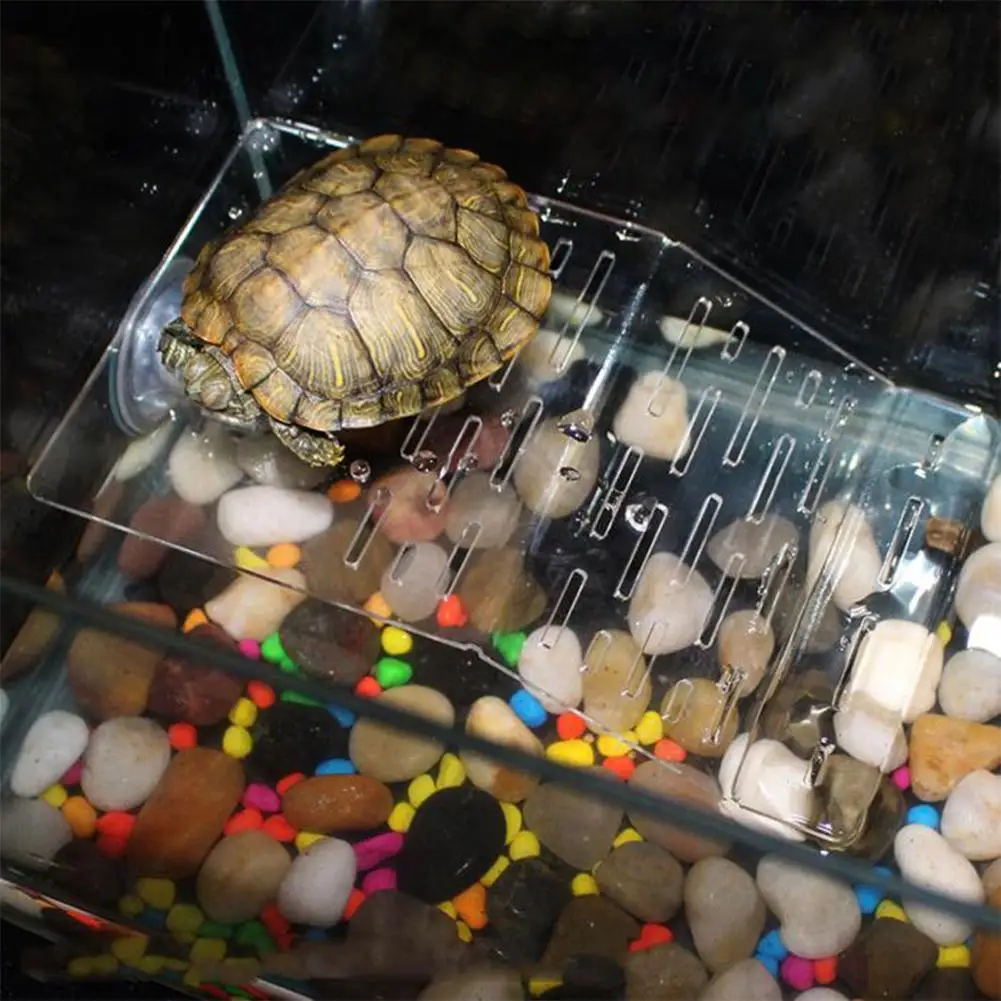 Turtle Floating Basking Terrace Floating Island Tortoise Climbing Ladder Aquarium Suction Clear Acrylic Board for Reptile Play
Turtle Floating Basking Terrace Floating Island Tortoise Climbing Ladder Aquarium Suction Clear Acrylic Board for Reptile Play