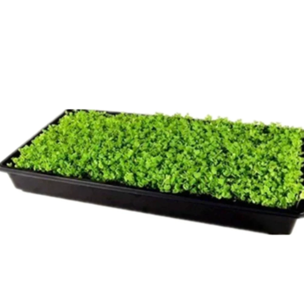 Garden Nursery Pot Tray for Plant Germination Nursery Pot Propagation Tray Flower Vegetable Seed Grow Pot
Garden Nursery Pot Tray for Plant Germination Nursery Pot Propagation Tray Flower Vegetable Seed Grow Pot
