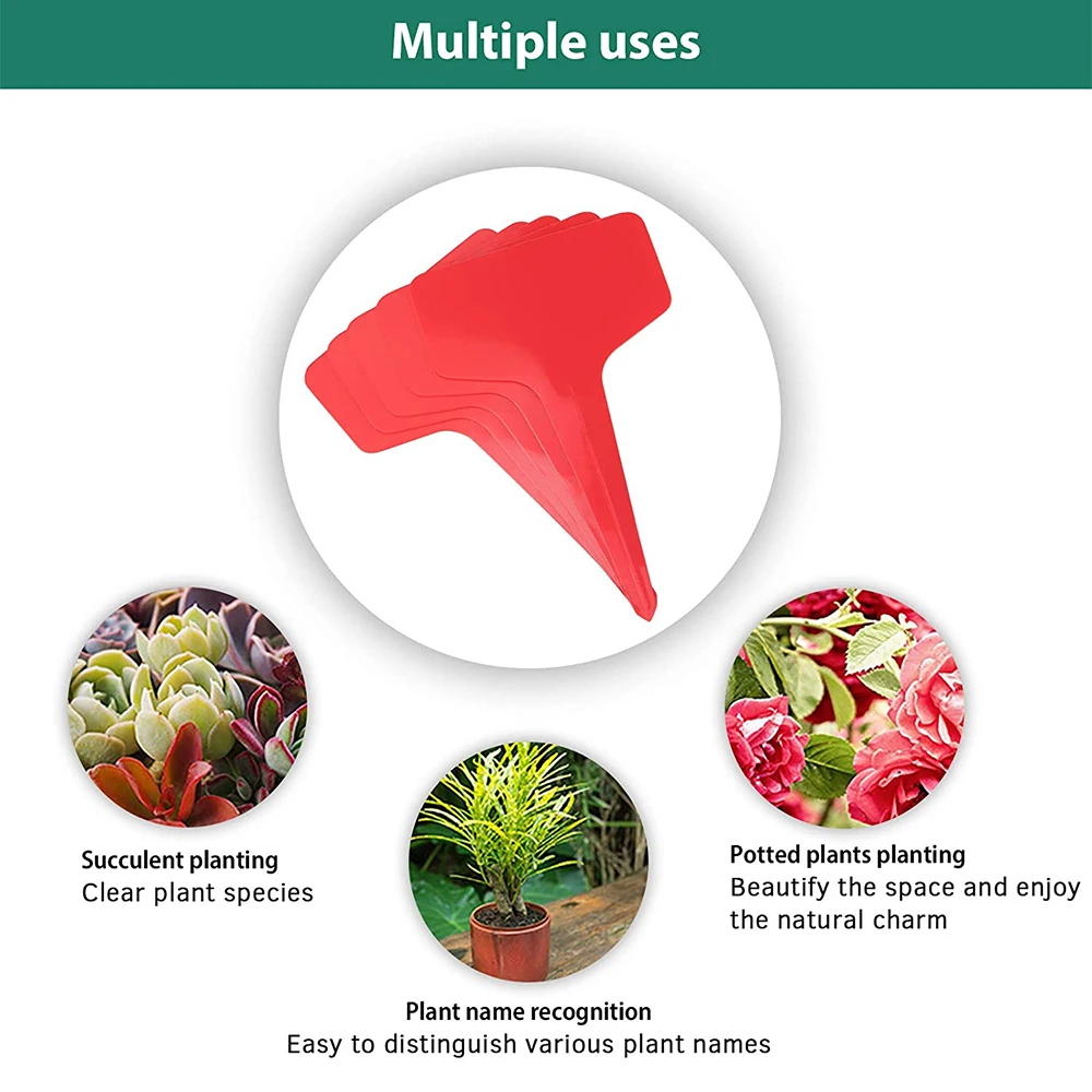 100 PCS Plant Labels Plastic Garden Tags T-Type Markers Nursery Label for Seed Plant Flower Vegetable Gardens Farms
100 PCS Plant Labels Plastic Garden Tags T-Type Markers Nursery Label for Seed Plant Flower Vegetable Gardens Farms