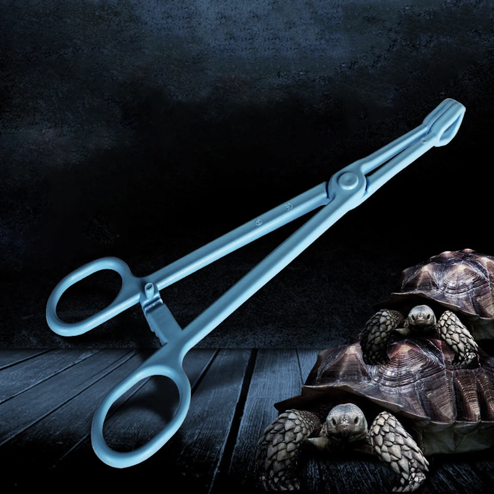 Reptile Terrarium Lizards Tongs Blue Plastic Spider Feeding Tool Tweezers Pet Raising Feeding Tool Clip
Reptile Terrarium Lizards Tongs Blue Plastic Spider Feeding Tool Tweezers Pet Raising Feeding Tool Clip