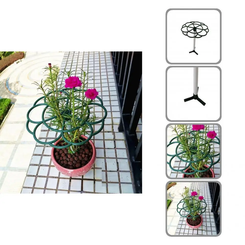 Reusable Convenient Cute Sunflower Shape Flower Stake Plastic Plant Stake Lightweight for Bonsai 
Reusable Convenient Cute Sunflower Shape Flower Stake Plastic Plant Stake Lightweight for Bonsai