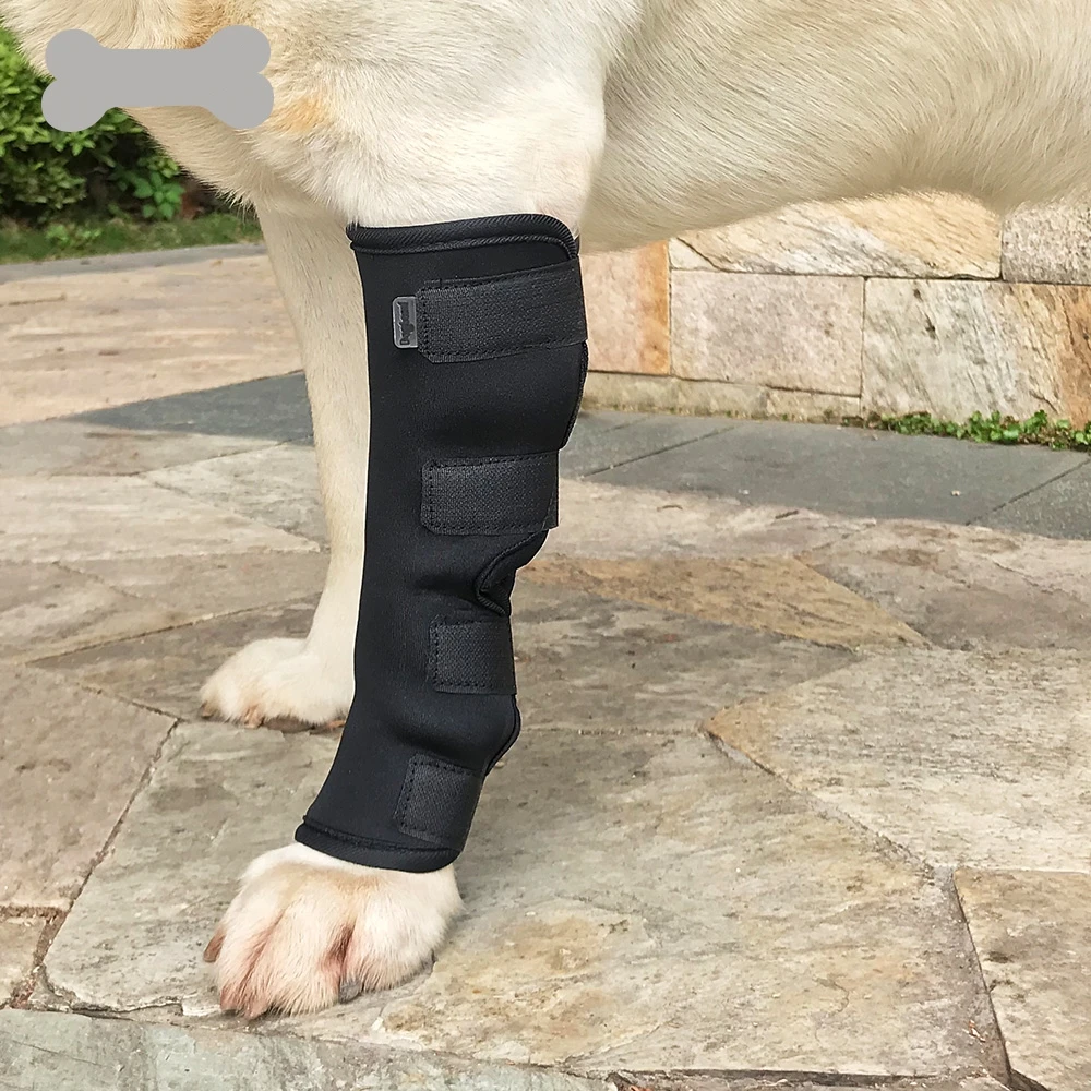 LeChong Pet Dog Joint Protector Is Suitable For Dog Leg Injury Wrap Recovery Bracket Pet Fixed Recovery Strap
LeChong Pet Dog Joint Protector Is Suitable For Dog Leg Injury Wrap Recovery Bracket Pet Fixed Recovery Strap