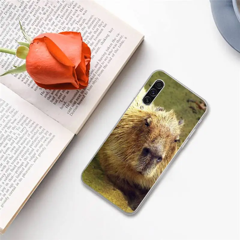 Capybara cute animal Phone Case For Samsung A S M Note 9 10 20 fe 21 71 30 ultra plus 5g 11 31 51 s
Capybara cute animal Phone Case For Samsung A S M Note 9 10 20 fe 21 71 30 ultra plus 5g 11 31 51 s