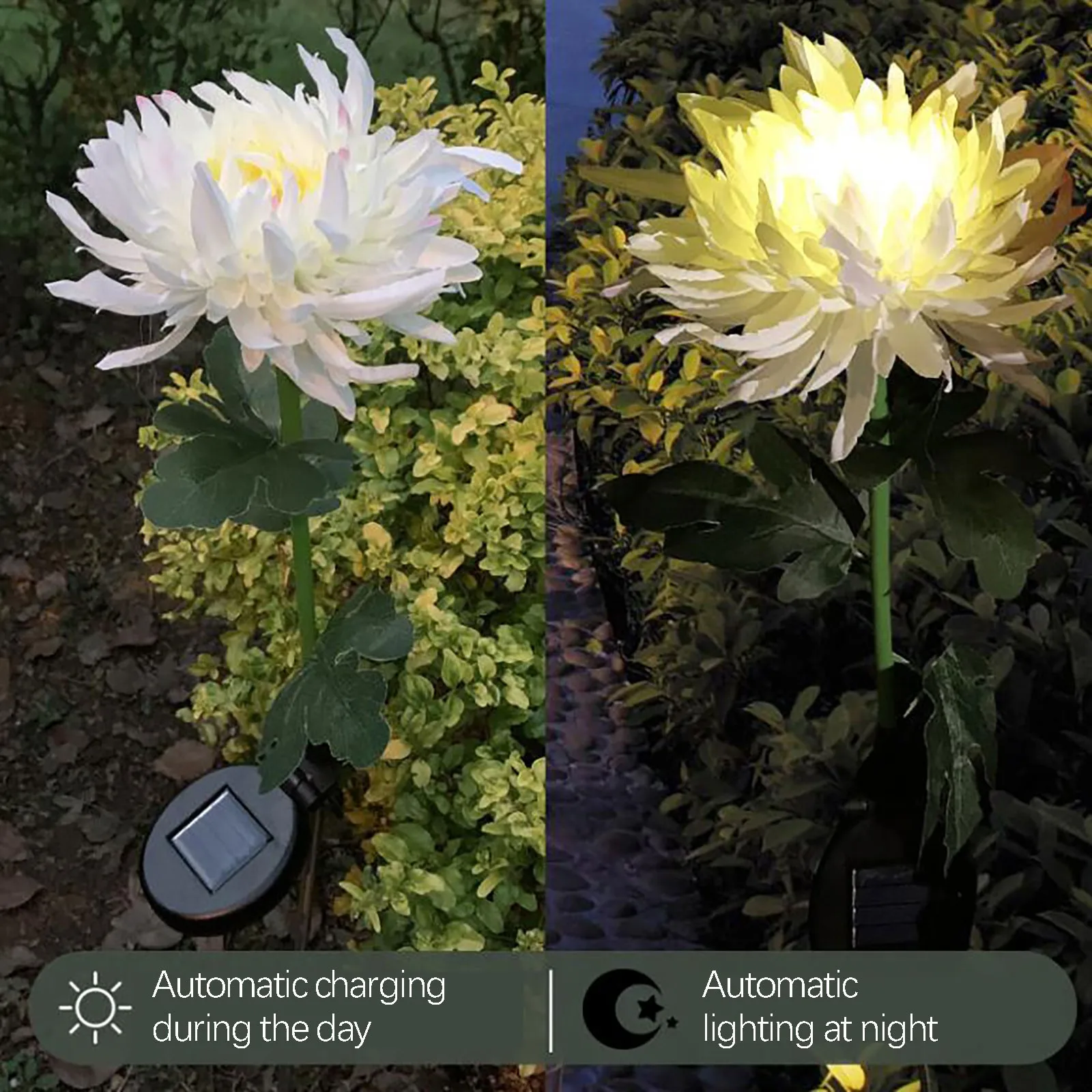 Chrysanthemum Solar Lights Garden Decoration Solar LED Outdoor Garden Simulation Flower Lawn Light Plug-in Landscape Lights
Chrysanthemum Solar Lights Garden Decoration Solar LED Outdoor Garden Simulation Flower Lawn Light Plug-in Landscape Lights