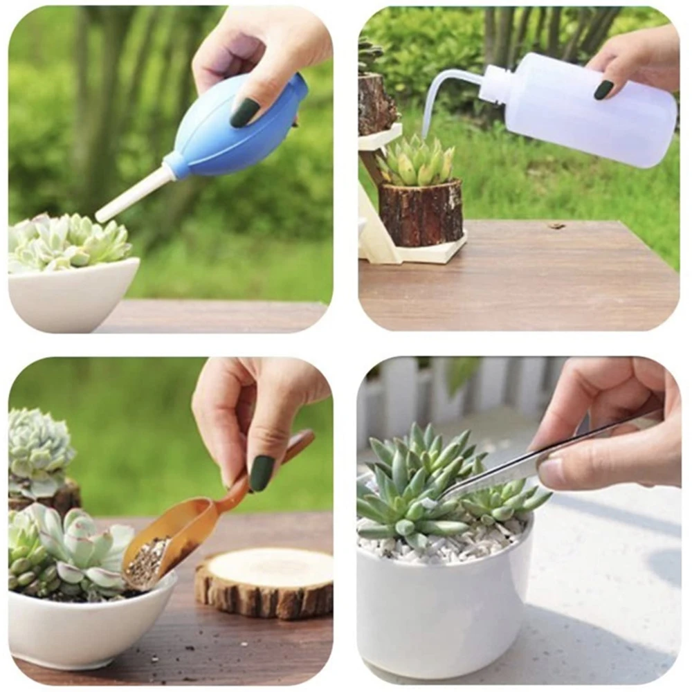 16PCS Garden Planting Tool Set Bonsai Succulent Tools Transplanting Fairy Garden Planting Gardening Hand Tools For Garden
16PCS Garden Planting Tool Set Bonsai Succulent Tools Transplanting Fairy Garden Planting Gardening Hand Tools For Garden