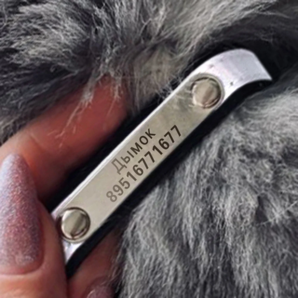 Reflective Pet Collar Engraving Cat ID Tag Quick Release Cats Collars Customized Necklace For Pets Dog Laser Engrave Dog Necklet
Reflective Pet Collar Engraving Cat ID Tag Quick Release Cats Collars Customized Necklace For Pets Dog Laser Engrave Dog Necklet