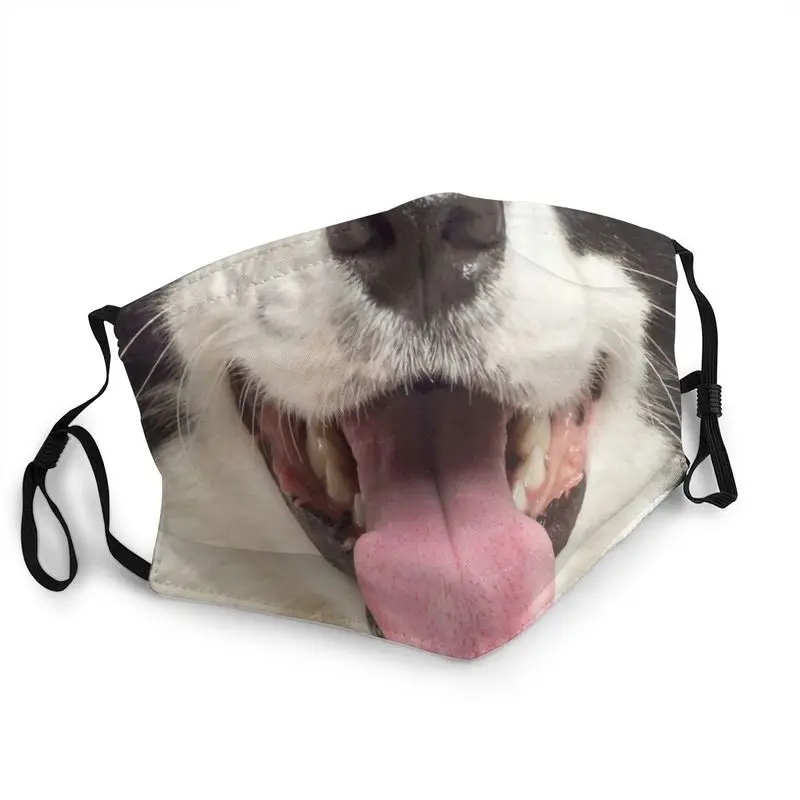 Border Collie Mouth Funny Nose Face Dog Lovers Adult Anti Haze Dust Mask Protection Cover Respirator Non-Disposable Mouth Muffle
Border Collie Mouth Funny Nose Face Dog Lovers Adult Anti Haze Dust Mask Protection Cover Respirator Non-Disposable Mouth Muffle