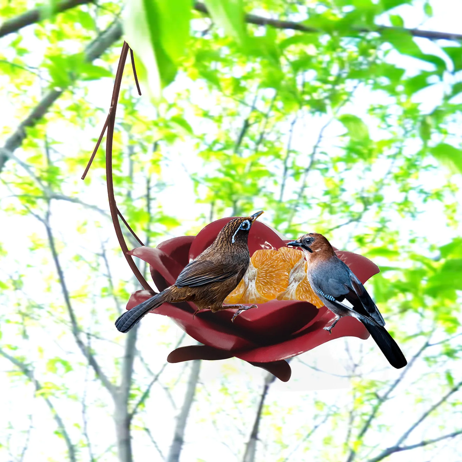 Bird Feeder Lotus Flower Shaped Wild Bird Hummingbird Feeder Bird Feeder Outside Garden Outdoor Yard Decoration
Bird Feeder Lotus Flower Shaped Wild Bird Hummingbird Feeder Bird Feeder Outside Garden Outdoor Yard Decoration