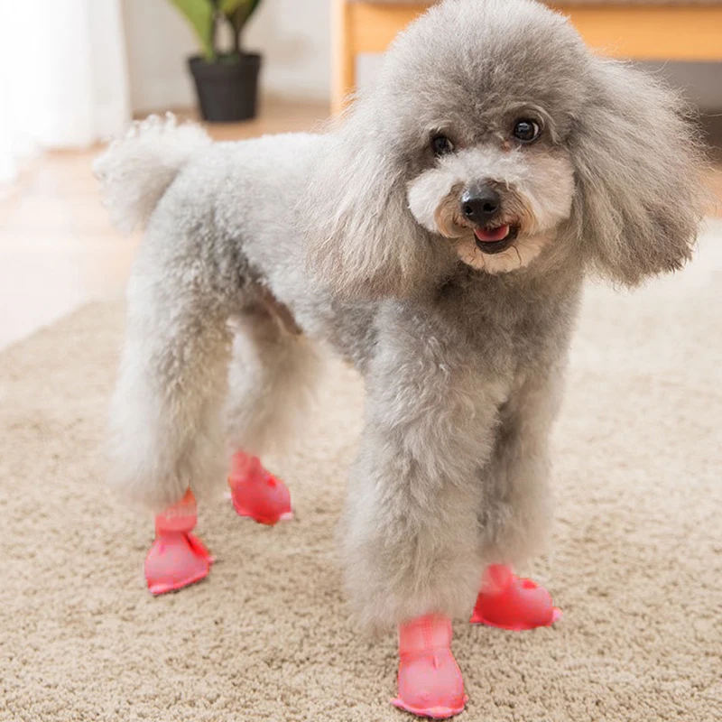 Non-slip Pet Rain Boots Dirt-proof Dog Shoes Waterproof Pet Supplies Durable Dog Shoes Solid Color Shoes Cute Pet Shoes Sale
Non-slip Pet Rain Boots Dirt-proof Dog Shoes Waterproof Pet Supplies Durable Dog Shoes Solid Color Shoes Cute Pet Shoes Sale