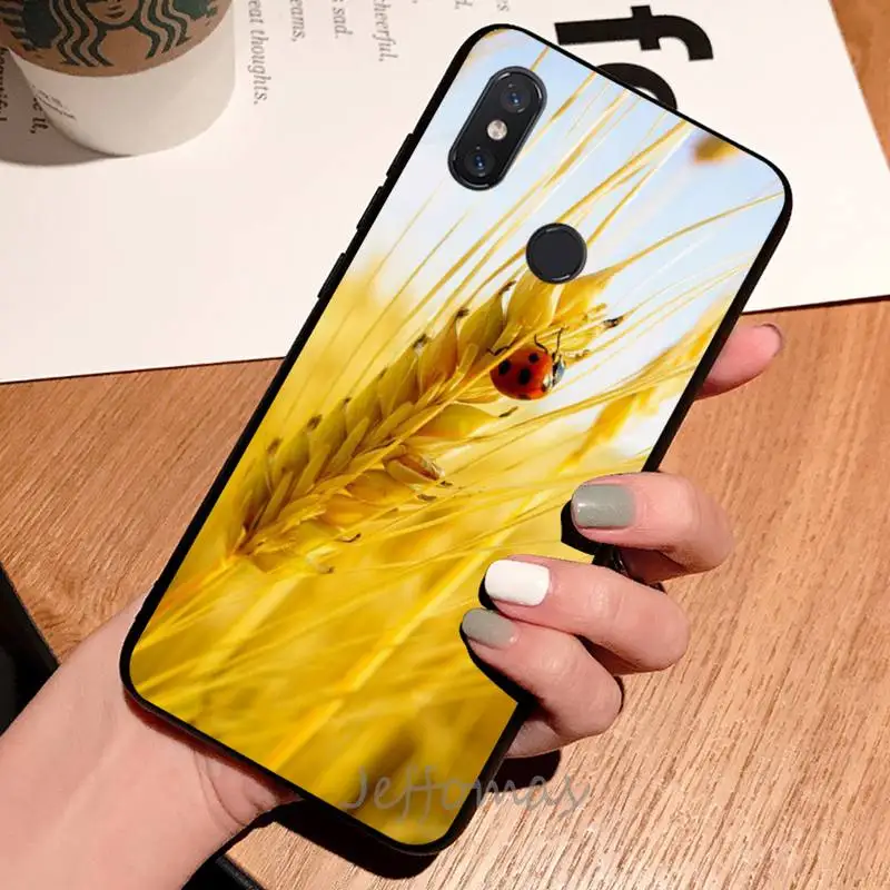 Raw material for bread wheat Phone Case For Xiaomi Redmi note 7 8 9 t max3 s 10 pro lite coque shell cover funda
Raw material for bread wheat Phone Case For Xiaomi Redmi note 7 8 9 t max3 s 10 pro lite coque shell cover funda