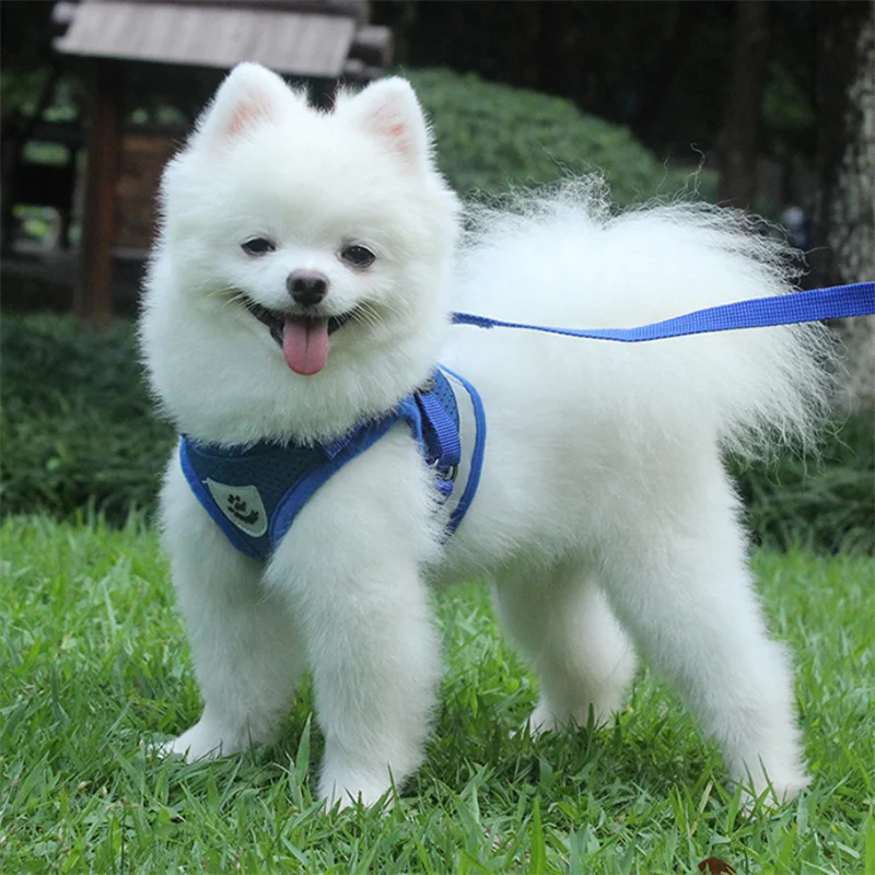 New Big Dog Harness Vest Reflective Adjustable Pet Chest Strap Training Pets Harnesses No Pull for Small Medium Large Dogs Stuff
New Big Dog Harness Vest Reflective Adjustable Pet Chest Strap Training Pets Harnesses No Pull for Small Medium Large Dogs Stuff