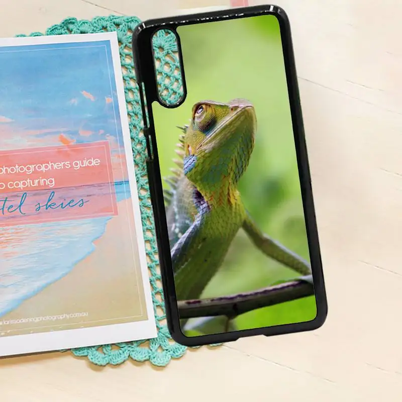 Gecko Lizard Animals Phone Case PC for iPhone 11 12 pro XS MAX 8 7 6 6S Plus X 5S SE 2020 XR
Gecko Lizard Animals Phone Case PC for iPhone 11 12 pro XS MAX 8 7 6 6S Plus X 5S SE 2020 XR