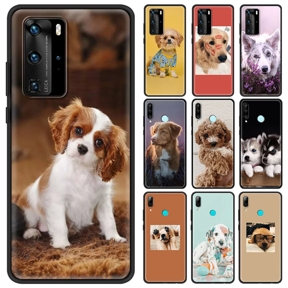 Cute Dog Smartphone Accessories Cover Case for P30 P20 Pro P10 P40 Lite Plus P Smart Z 2021 Luxury Soft Shell
Cute Dog Smartphone Accessories Cover Case for P30 P20 Pro P10 P40 Lite Plus P Smart Z 2021 Luxury Soft Shell
