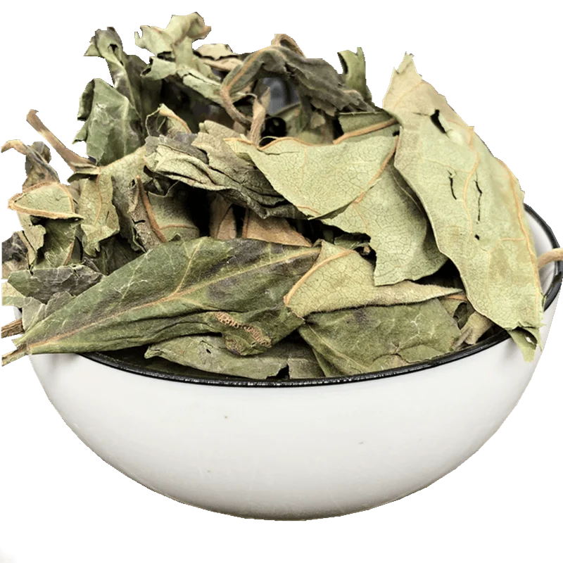 Persimmon Leaf Extract; Folium Kaki(Persimmon Leaf);Persimmon Leaf Extract; Folium Kaki(Persimmon Leaf);
Persimmon Leaf Extract; Folium Kaki(Persimmon Leaf);Persimmon Leaf Extract; Folium Kaki(Persimmon Leaf);